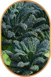 Glutathione: Leafy greens